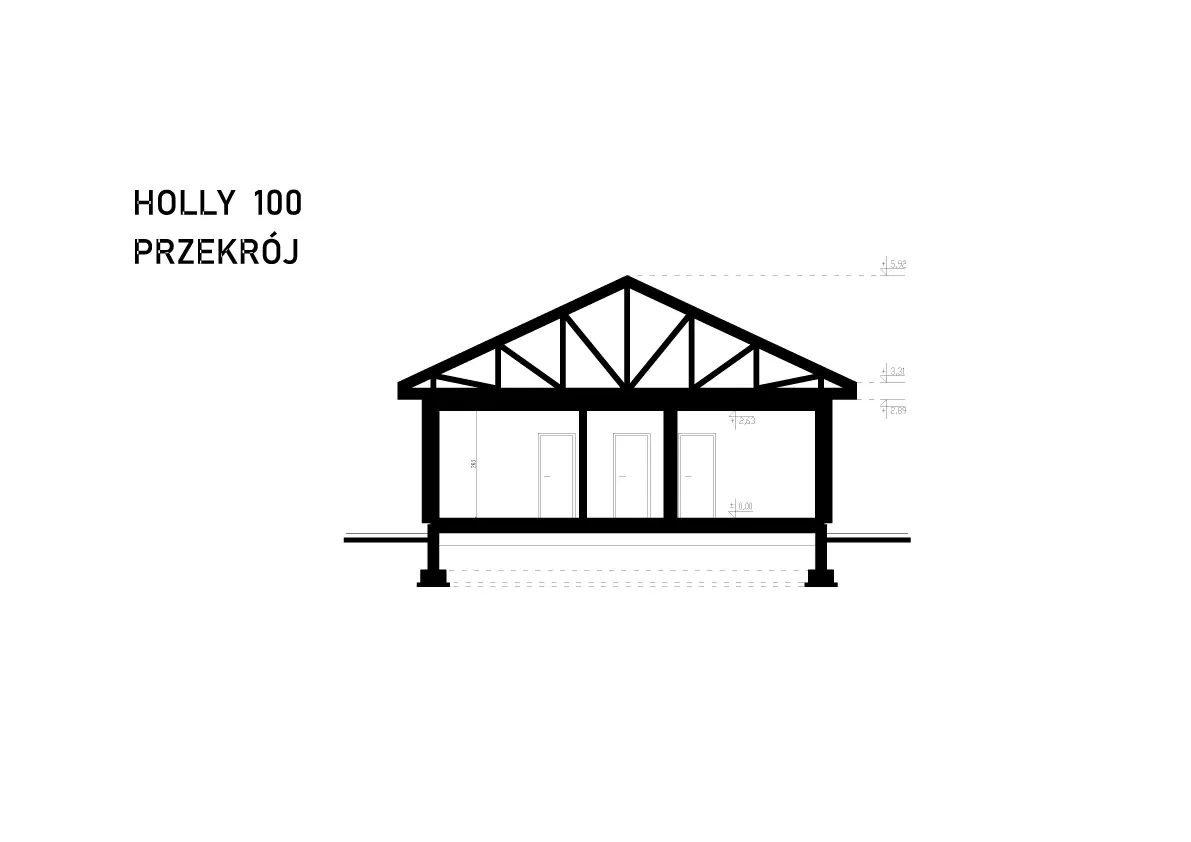Holly 100 - Przekrój